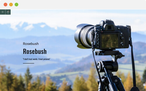 Theme: Rosebush